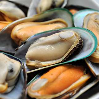 Catch Seafood New Zealand Mussels Catch Seafood New Zealand Mussels