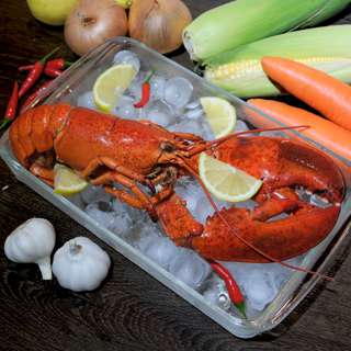 Catch Seafood Cooked Boston Lobster Whole