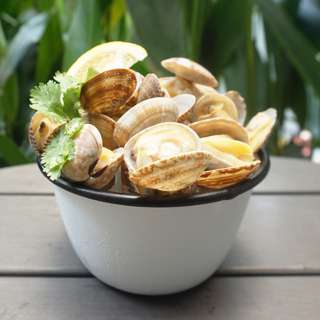 Catch Seafood Flower Clam (Asari)