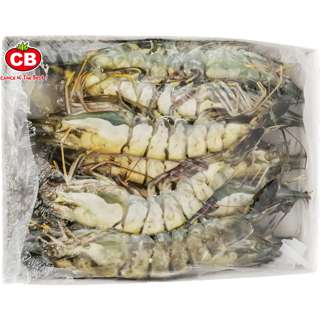 CB 10/12 Frozen Live Black Tiger Prawn Hoso