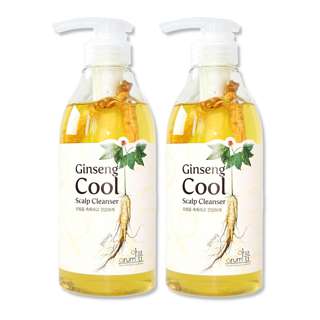 Arum Ginseng Cool Scalp Cleanser Set