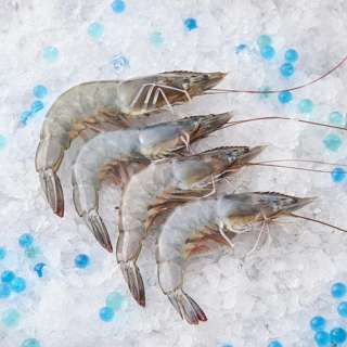 Aw's Market Fresh XL Glass Prawns CNY Steamboat