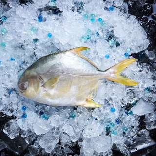 Aw's Market Fresh Golden Pomfret - Clean & Gutted