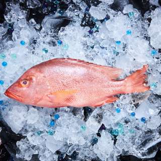 Aw's Market Fresh Red Snapper (No Soil Taste) (Clean & Gut)