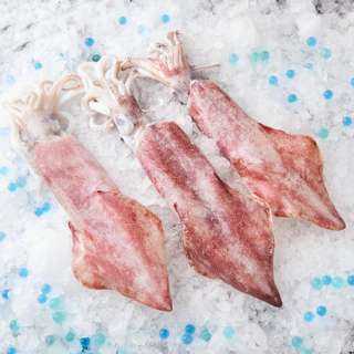 Aw's Market Fresh A Grade Fresh XL Sotong (Squid)