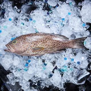 Aw's Market Fresh Flower Grouper