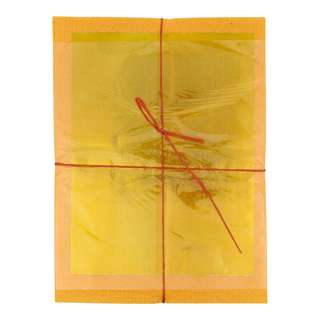 SYH Kim Zua Premium Grade 2 Gu Li Gold