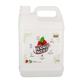 GW Anti-bacterial Hand Soap - Strawberry GW Anti-bacterial Hand Soap - Strawberry