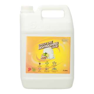 GW Anti-bacterial Dishwashing Liquid - Ginger Lime