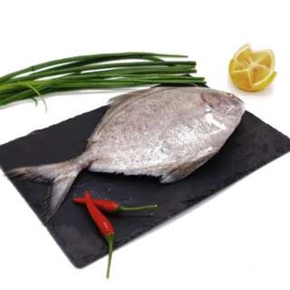 Aw's Market Fresh Black Pomfret