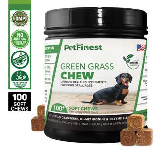 Petfinest Green Grass Chew - Lawn Saver Pet Dog Supplement Petfinest Green Grass Chew - Lawn Saver Pet Dog Supplement
