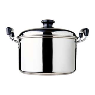Dolphin Collection Stainless Steel Saucepot 5.32L