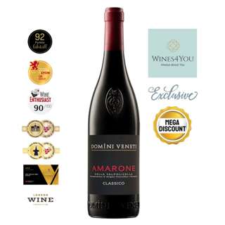Domini Veneti Amarone DOCG Classico Italy Red Wine 2021