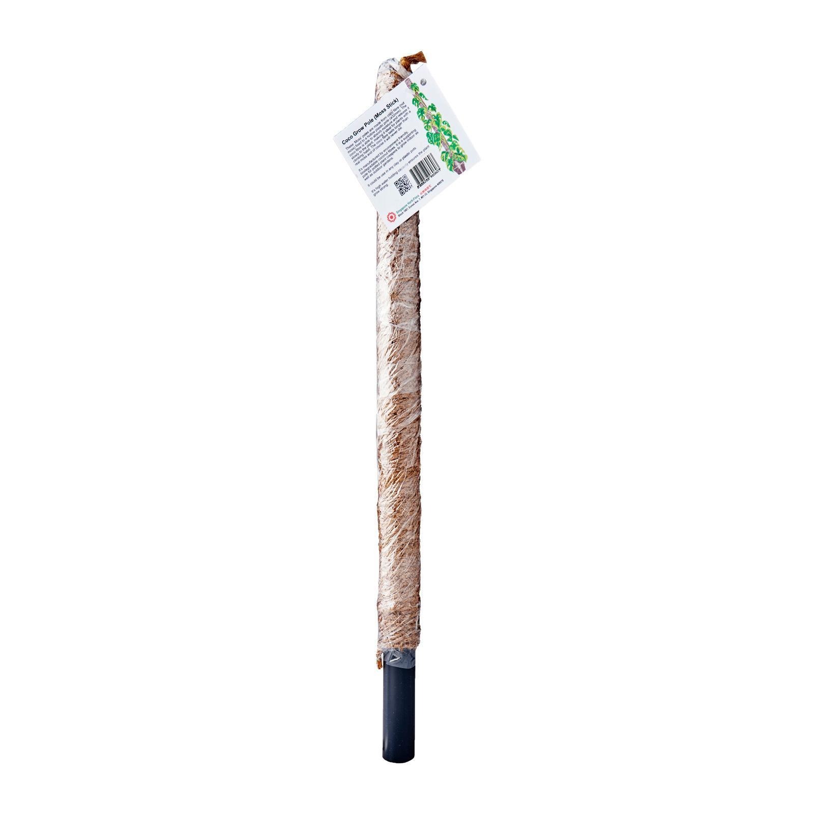 Coco Grow Poles Moss Stick 60cm | NTUC FairPrice