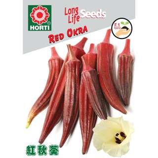 Red Okra Seeds