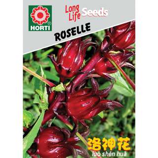 Roselle Seeds