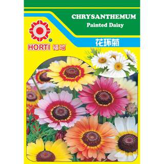Chrysanthemum Seeds