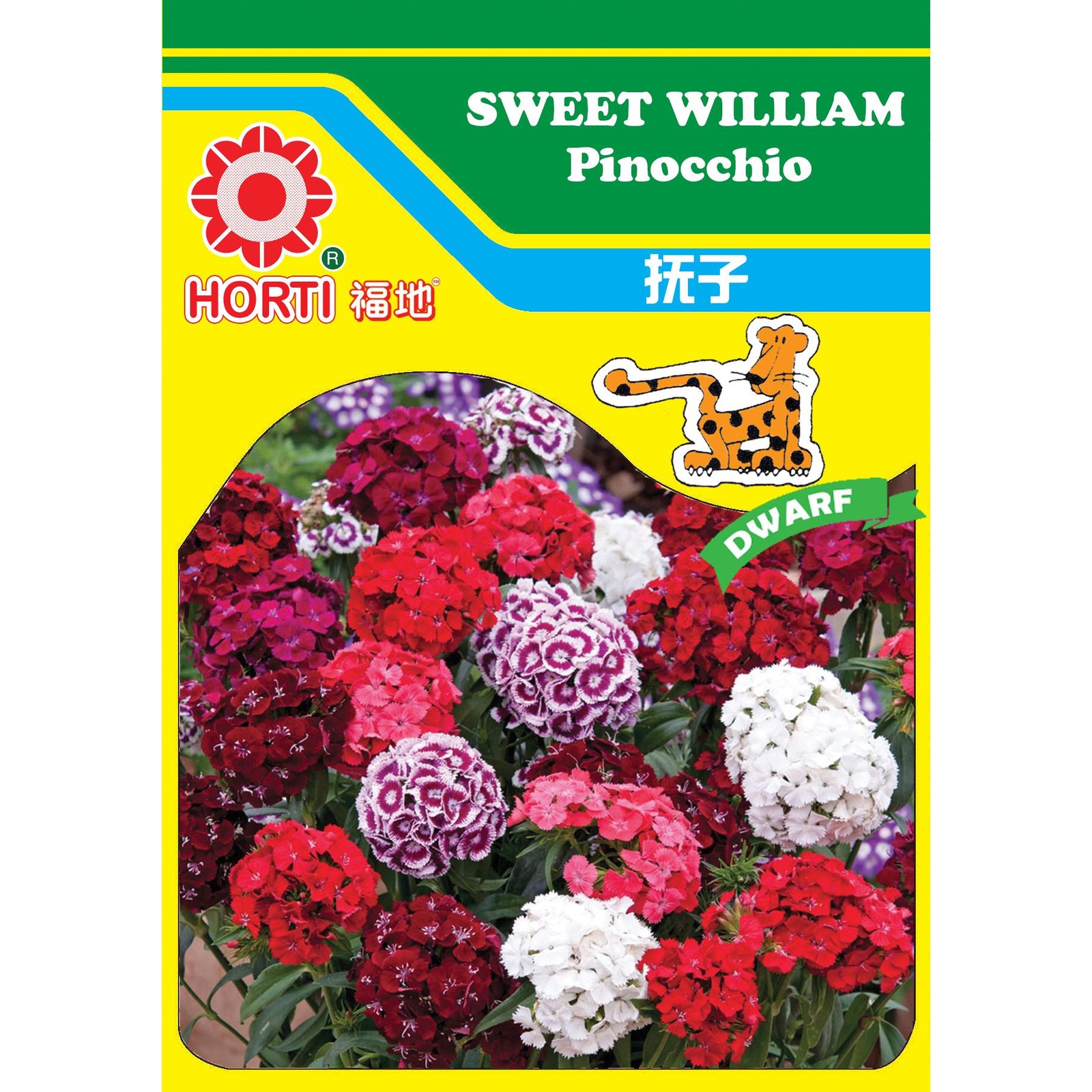 Sweet William Seeds