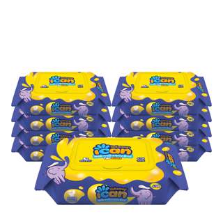 Bebesup ICAN Flushable Wet Wipes