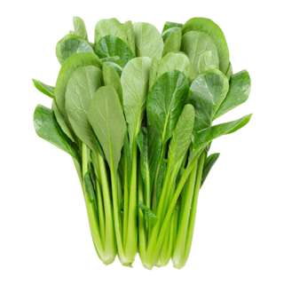 Vegeponics Pesticide-Free Komatsuna (SG Local)