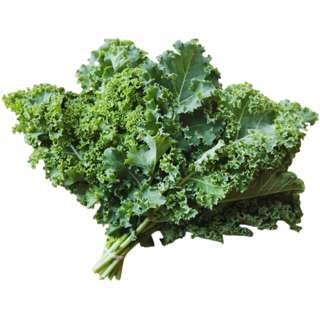 Vegeponics Pesticide-Free Curly Kale (SG Local)