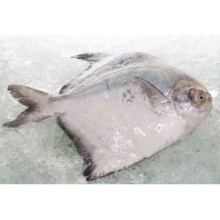 Aw's Market Fresh Chinese Pomfret