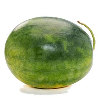 YayaPapaya Watermelon