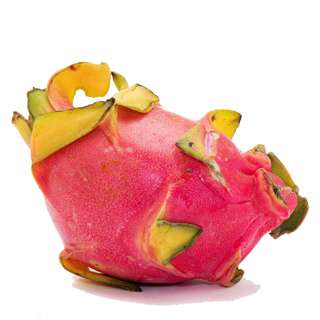 YayaPapaya Dragonfruit White YayaPapaya Dragonfruit White