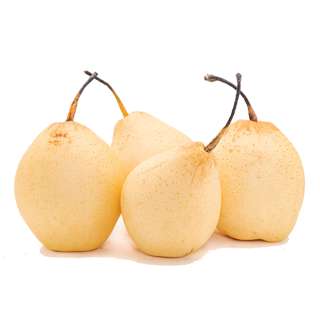 YayaPapaya Pear Ya