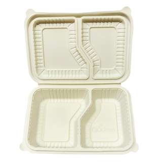 BIOGREEN BD-BENTO LUNCH BOX WITH 2 COMPARTMENT