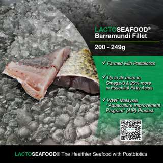 LACTOSEAFOOD Barramundi (Seabass) Fillet 200-249g