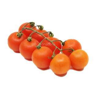 ZENXIN Organic Cherry Tomato On the Vine