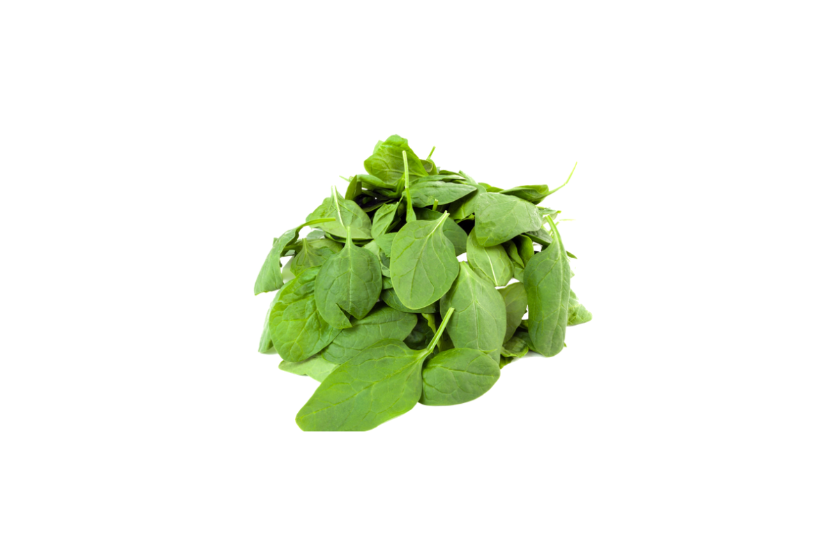ZENXIN Organic Baby Spinach