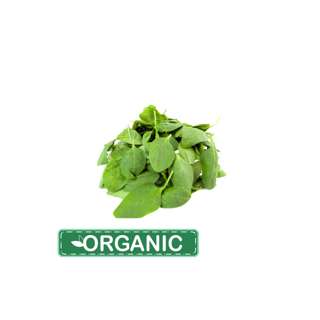 ZENXIN Organic Baby Spinach