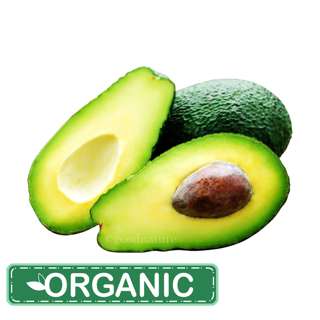 ZENXIN Organic Avocado