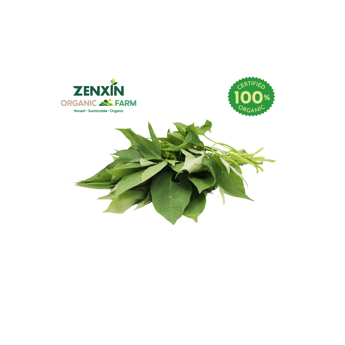 Product-image