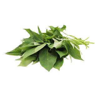 ZENXIN Organic Sweet Potato Leaf