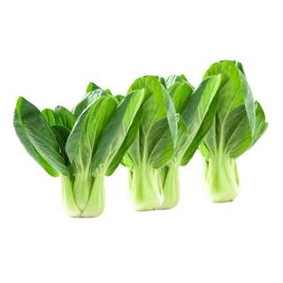 ZENXIN Organic Siew Pak Choy
