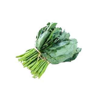 ZENXIN Organic Kale Local (Broccoli leaf)