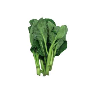 ZENXIN Organic Kailan