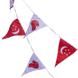 Partyforte NDP National Day Spore Triangle Pennant 20S 25Ft