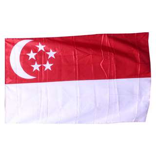 Partyforte National Day Singapore Flag HDB Size Decoration