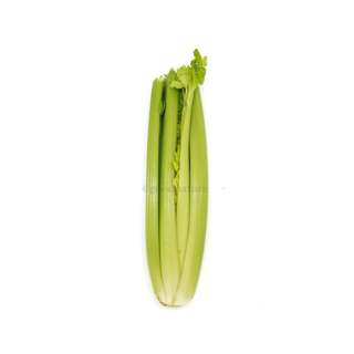 ZENXIN Organic Celery