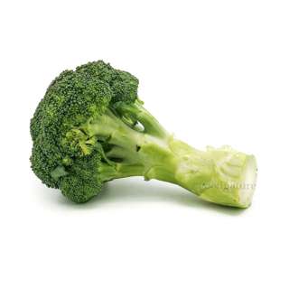 ZENXIN Organic Broccoli