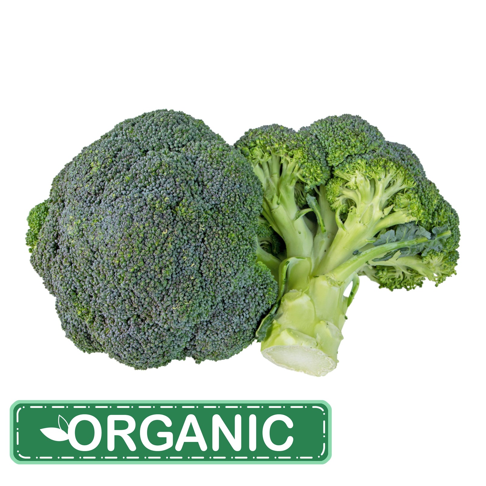 ZENXIN Organic Broccoli