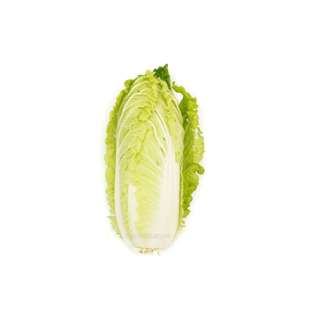 ZENXIN Organic Chinese Cabbage