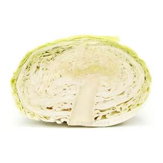 ZENXIN Organic Cabbage