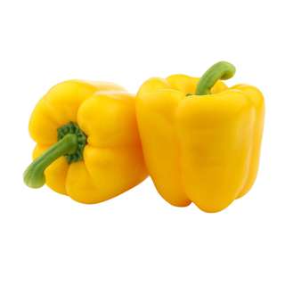 ZENXIN Organic Yellow Capsicum
