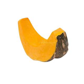 ZENXIN Organic Pumpkin