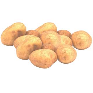 ZENXIN Organic Potato